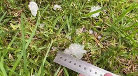Huge hailstones measured after battering Sydney suburbs