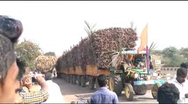 Clever Indian farmer creates ‘sugarcane train’ made of 10 trolleys hooked to tractor