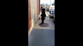Hammy still doesn't walk over grates