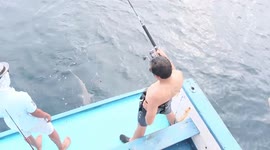 Fishermen catch and release shark off coast of Indonesia