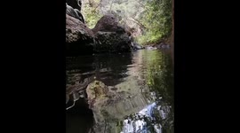 Cascadas de Tamanique, un tesoro escondido que aún sobrevive.