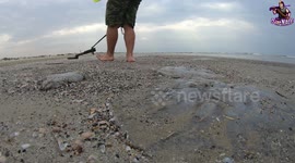 Man using metal detector finds treasure on beach