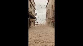 Sea Foam Tossa de mar 2020