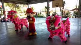 Lion Dance performance at school of Malaysia in year of the rat