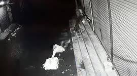 Desperate shop owners jump off roof onto robbers to foil burglary, break their own legs; dacoits nevertheless decamp with cash worth $5613.05  in northern India