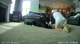 Dog owner fails to exercise at home as pooch wants to play