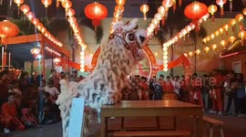 Lion and dragon dancers on show in Padang as city begins Chinese New Year celebrations