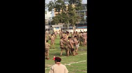 Boy Scouts Do Amusing Dance On School Field