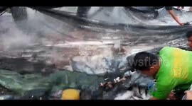 Fisherman land bumper haul of tuna in the Philippines