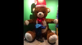 Boy punched by giant teddy bear