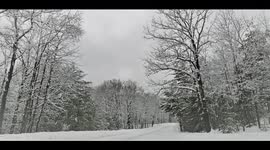 Upper Michigan Winter Scenes