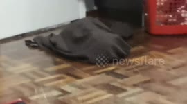 Pusty the cat playing hide n seek in mummy's dress.