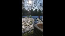 Sister adds insult to injury for brother