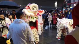 Chinese Dragons Go Into Chinese Restaurant