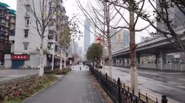 Wuhan turns into 'ghost town' due to coronavirus outbreak