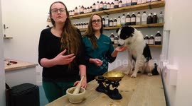 Twin sisters open vet surgery which treats pets with herbal remedies including MISTLETOE