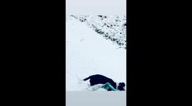 New puppy experiencing snow for the first time!