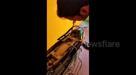 Three-foot-long cobra found slithering around inside Indian man's bike