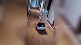 Robots used to deliver food to people quarantined in hotel to avoid spreading of coronavirus