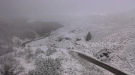 Newsflare Edit - Snow Scenes From Gortin Glen Forest
