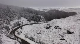 Drone footage showcases wintery conditions in Northern Ireland as forest blanketed by snow
