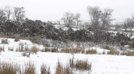 First Snow of 2020