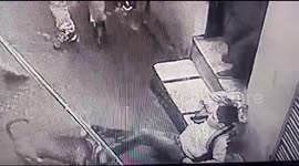 Brave boy fights off frenzied attack from pit bull in northern India