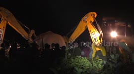 Elephants that killed four people tranquillized and captured by officials in east India
