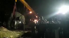 Wild elephant has lethal rampage before falling into ditch in east India