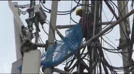 Firefighters rescue monkey stuck on cellphone tower for 24 hours