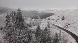 Northern Ireland's Gortin Glen Forest turns into winter wonderland after snowfall