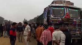 shocking A elephant died in road accident while other injured in Southern east India.