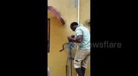 Touching moment mother monkey runs to her just-rescued baby in east India