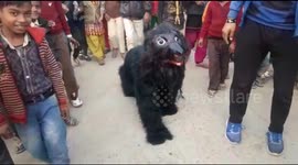 Village youths dress up as bears to scare off monkeys in north India