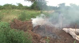 Villagers in Kenya attempt to smoke out swarms of locusts devouring their crops