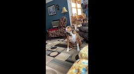 Jade speaks to get outside, it’s not working