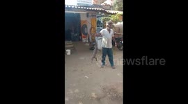 Lizard by the tail - ‘Brave’ man catches monitor lizard and poses for camera