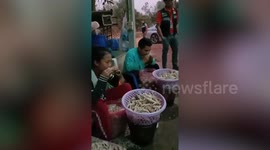 Thai factory workers caught using their MOUTHS to process chicken feet