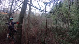 Tree climbing arborist has terrifying accident at work!
