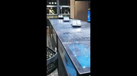Seafood at Grocery