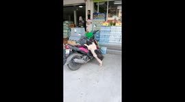 Stray pig tries to make love to a motorcycle