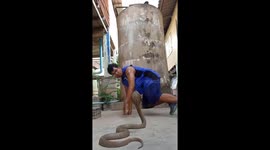 Bizarre moment breakdancer performs for deadly king cobra