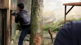 Funny moment a photographer shock when capture tiger in the zoo