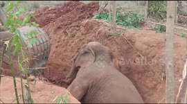 Elephant rescued from 20 feet dry well with the help of JCB in Southern East India.