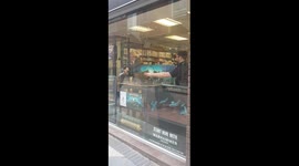 Pigeon In Shop Window Gets Asked To Leave!