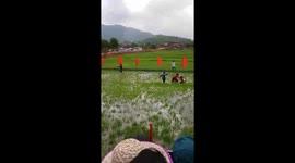 Bizarre Vietnamese festival sees blindfolded people chase ducks in rice field