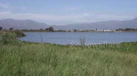 Cape Town celebrates World Wetlands Day