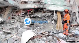 Durrës, Albania 27 November 2019: Rescuers and dogs searching for missing people after earthquake.