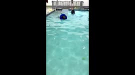 Dog swimming with floaties