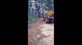 Mulgoa RFB at Riley’s Mountain, NSW